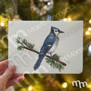 Winter Blue Jay